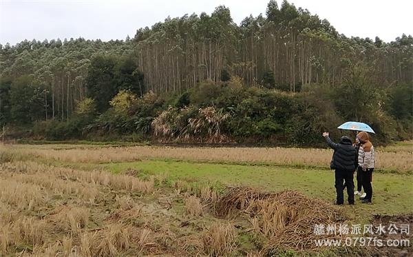 曲靖市陈老师带着爱徒寻龙点穴