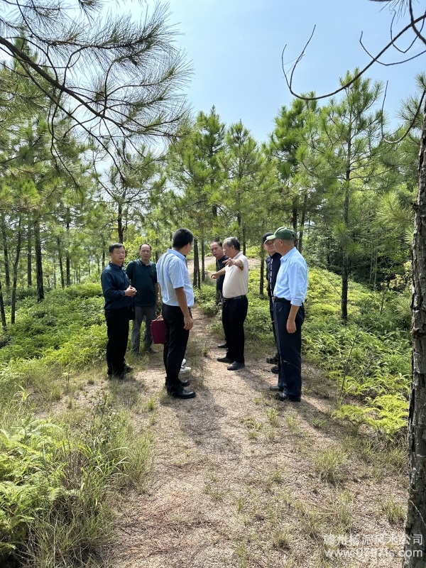 曲靖市学杨公风水跟陈荣昌老师实在